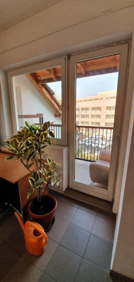 Romzsa Todor Kollegium Hostel Szeged Bagian luar foto