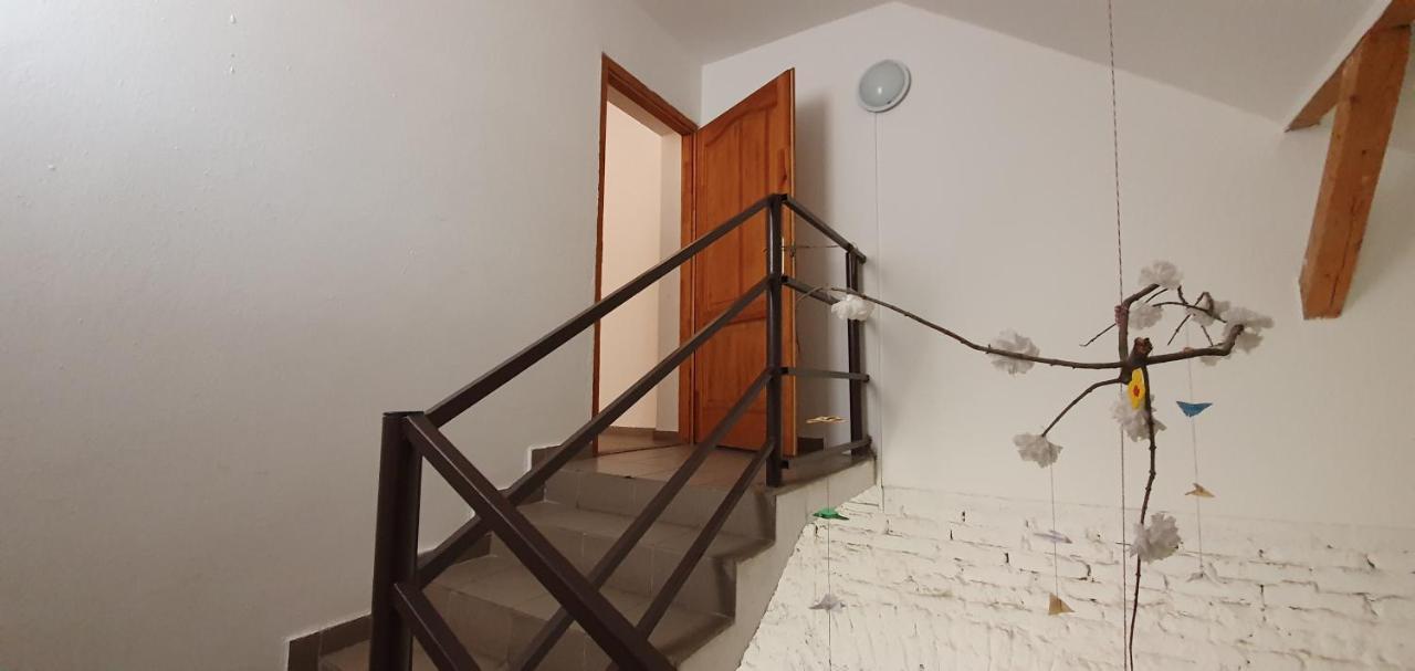 Romzsa Todor Kollegium Hostel Szeged Bagian luar foto