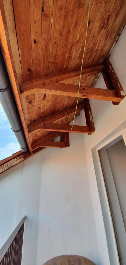 Romzsa Todor Kollegium Hostel Szeged Bagian luar foto