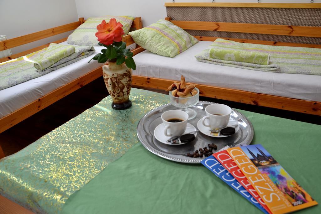 Romzsa Todor Kollegium Hostel Szeged Bagian luar foto